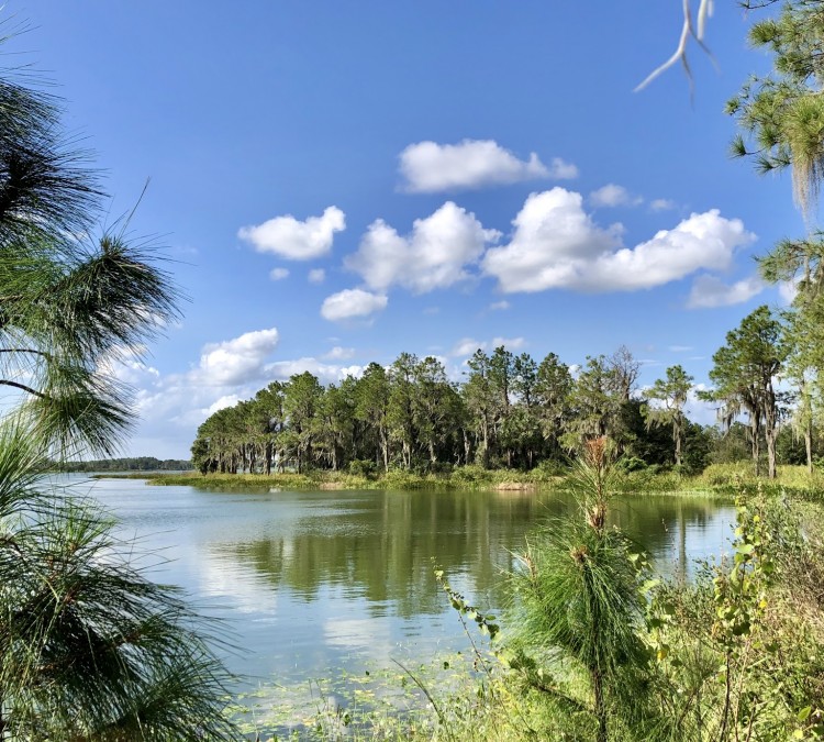 Hardee Lakes County Park (Bowling&nbspGreen,&nbspFL)